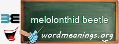 WordMeaning blackboard for melolonthid beetle